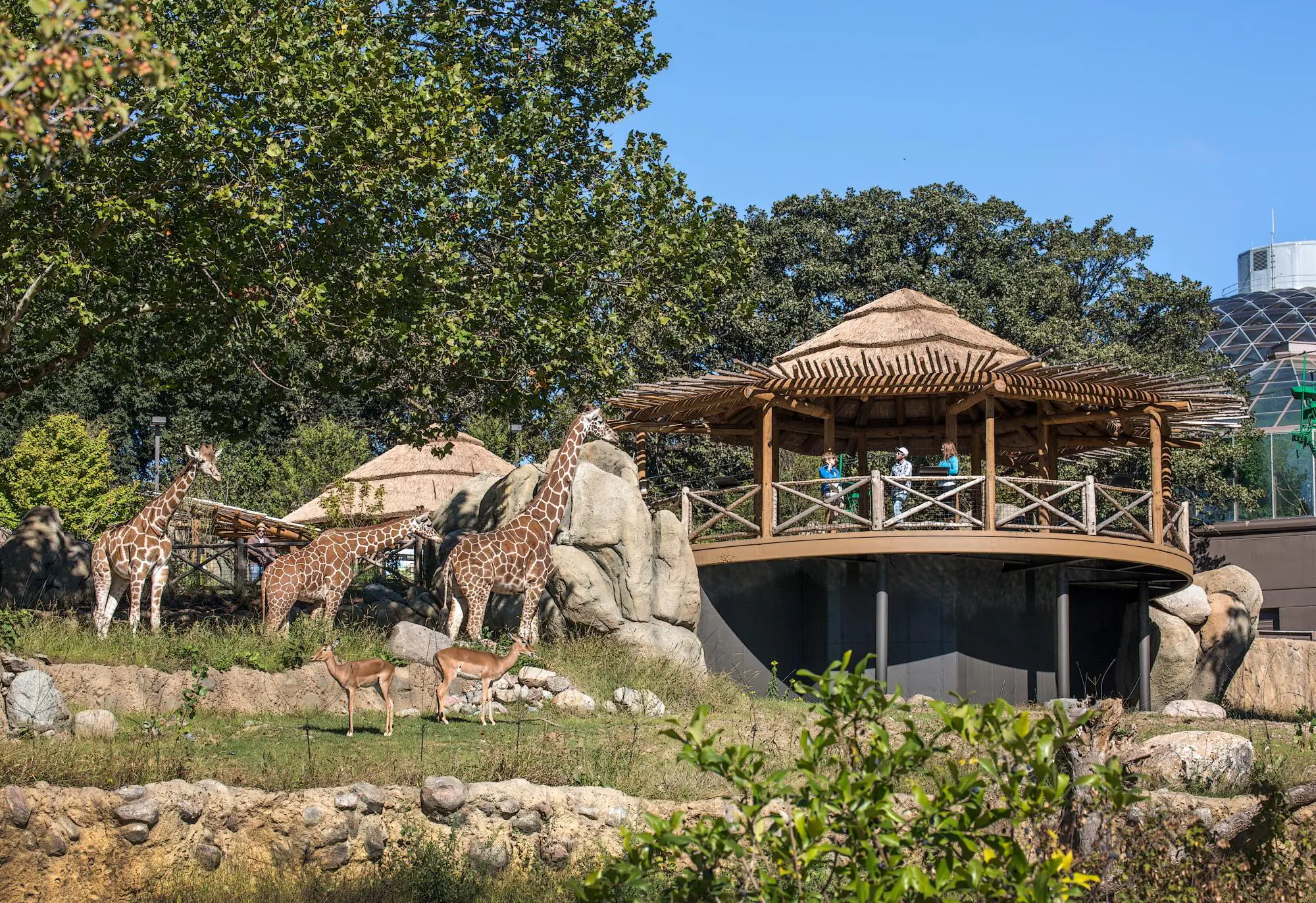 Omaha Henry Doorly Zoo Aquarium African Grasslands 1
